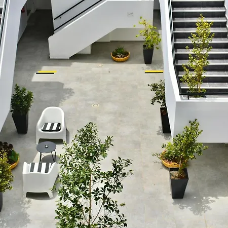 Zoi Hotell Ayia Napa